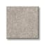 Flushing Bay Moon Rock Texture Carpet with Pet Perfect swatch